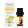  Immortelle-Öl von Essences Bulgaria