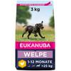 große Rassen von Eukanuba