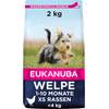 Welpe M-Rassen von Eukanuba
