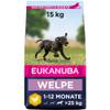 Welpe von Eukanuba