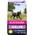 Welpe von Eukanuba