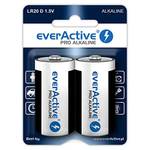 Everactive D-Batterien