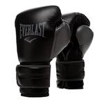 Everlast Powerlock 2R