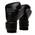 Powerlock 2R von Everlast