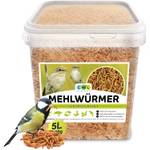 EWL Mehlwürmer