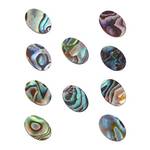 Exceart Abalone-Muschel