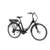 F.lli Schiano ‎E-Moon 26 Zoll E-Bike