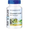 Olivenblatt Extrakt von Fair & Pure
