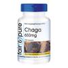 Chaga Kapseln von Fair & Pure