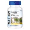 Laktase-Tabletten von Fair & Pure