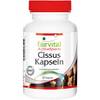 Cissus Kapseln von fairvital