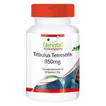 fairvital Tribulus terrestris