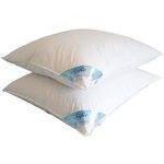 TM Maxx Süße Träume Daunenkissen