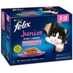 Purina Felix Junior So gut wie es aussieht