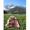 Schaffell von Felltrade