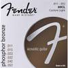 HN144456 von Fender