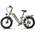 E-Bike A20 von Ficyacto