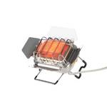 Fire-Maple Sunflower X