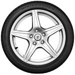 Firestone 18060