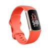 Charge 6 von Fitbit