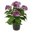 087515V von Flair Flower