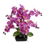 ‎Flair Flower 089608RSD