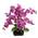 089608RSD von Flair Flower