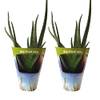 7133 von ‎Fleischle Gartenbau GbR