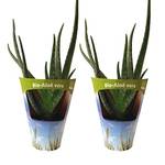 ‎Fleischle Gartenbau GbR 7133