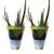 ‎Fleischle Gartenbau GbR 7133