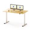 EG1 von Flexispot