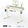 EN1 SET von Flexispot