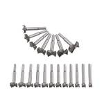 flintronic 19tlg- Forstnerbohrer