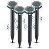 ‎LEU-3108442 von flintronic