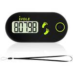 Flintronic Mini-Schrittzähler