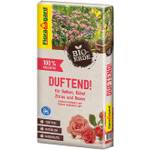 Floragard Bio-Erde