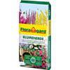 Blumenerde von Floragard