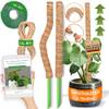 Moosstab von Floraly