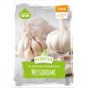 Winterpflanzknoblauch Messidrome von FLORTUS
