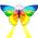 Schmetterlingsdrachen von Flying Hoofer