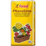 Forest Pflanzerde
