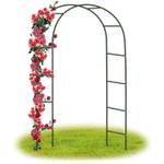 Forever Speed Rosenbogen MF768408