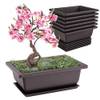Bonsai Schale von Forhandy
