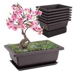 Forhandy Bonsai Schale