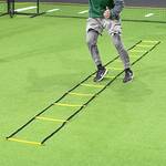 Forza Trainingsleiter