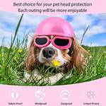 Frienda Kleiner Hundehelm Schutzbrille