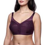 frugue Minimizer-BH