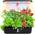 Smart Garden von Fullwatt