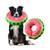 Fwlwtwss Halskrause-Hund