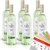 Sauvignon Blanc von Gallo Family Vineyards